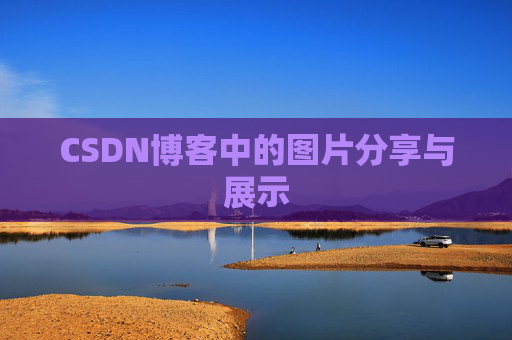 CSDN博客中的图片分享与展示